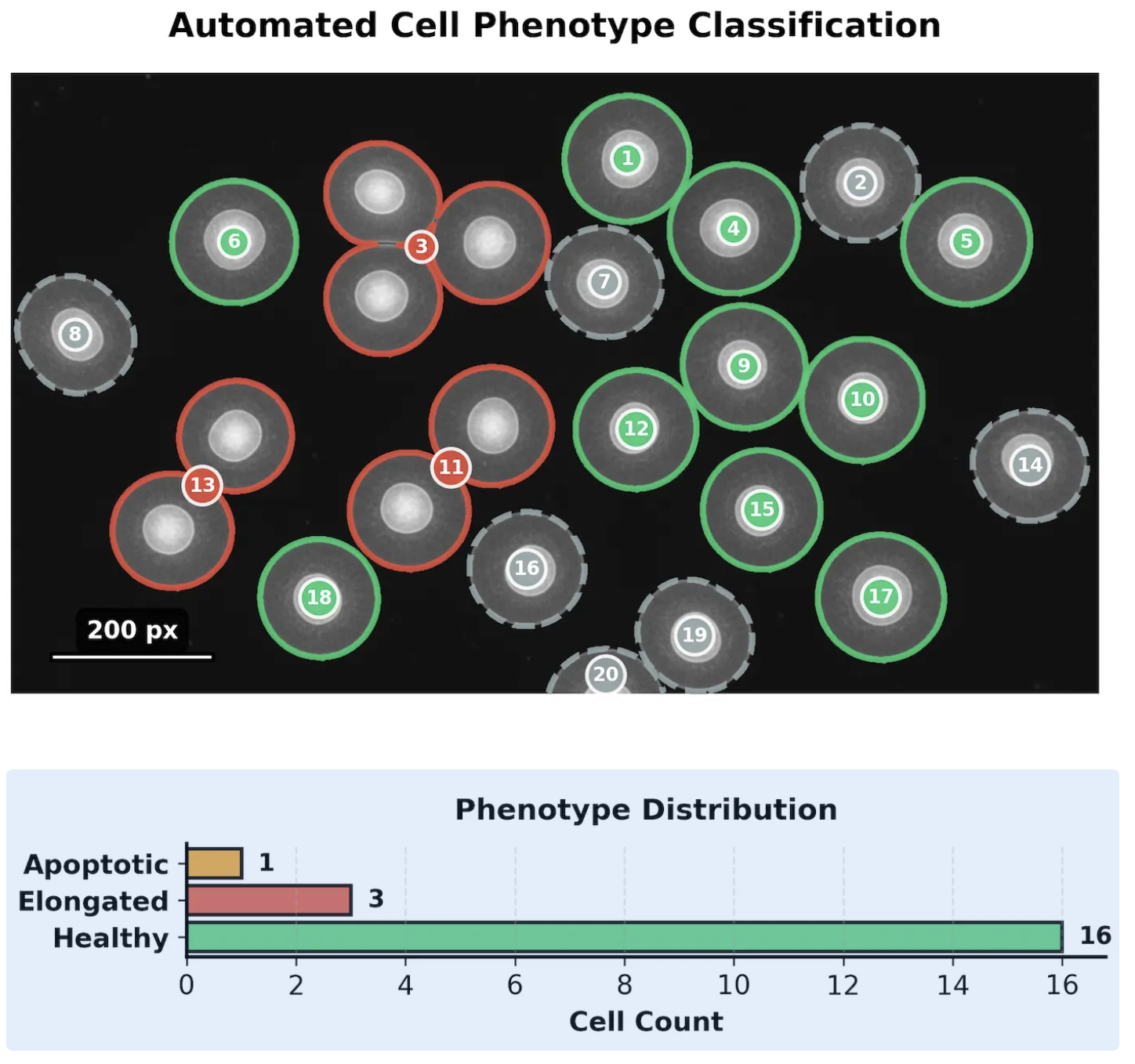 Classification Results